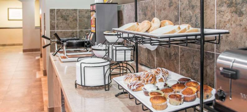 巴特尔克里克品质酒店(Country Inn & Suites by Radisson, Battle Creek, MI)图片