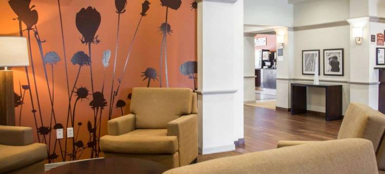 购物和医疗中心附近舒眠套房酒店(Sleep Inn & Suites Medical Center)图片