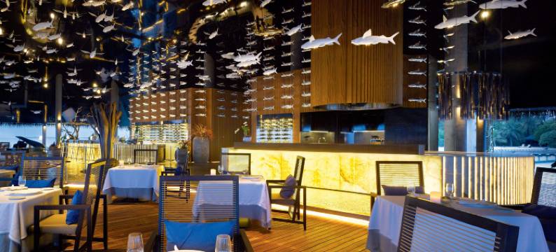 维拉私人海岛度假村(Velaa Private Island)图片