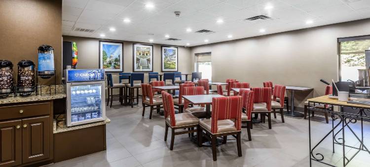 舒适套房酒店(Comfort Inn & Suites)图片