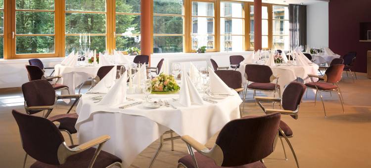 佛莱堡多林特温泉酒店(Dorint Thermenhotel Freiburg)图片