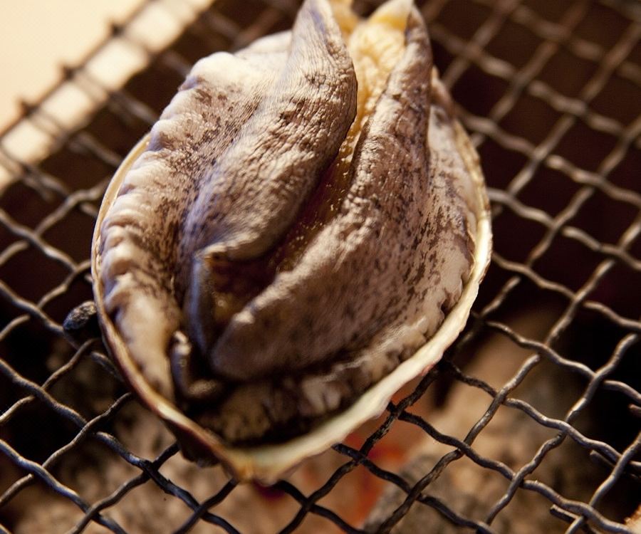 Yuhigaura Onsen Shinkaiso Kyoto Hotel Reviews And Room Rates - 