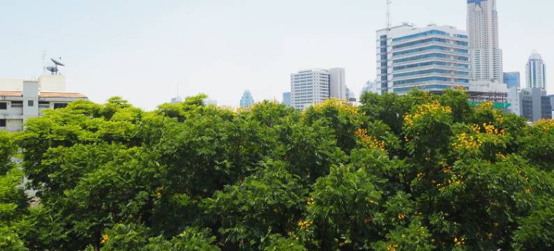 穰南帝景酒店(Royal View Resort - Rang Nam)图片