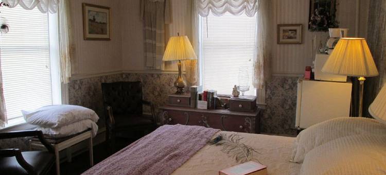 Yellow Turtle Inn图片