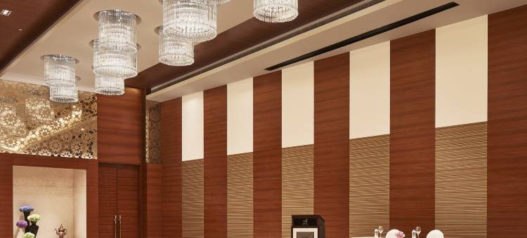 塔吉斯瓦尔纳酒店(Taj Swarna, Amritsar)图片