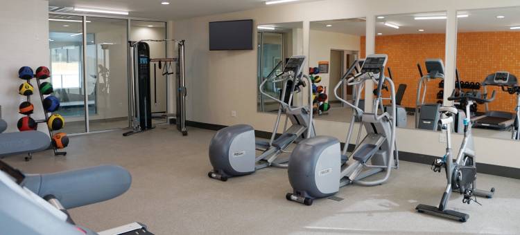 达拉斯邓肯维尔拉昆塔温德姆套房酒店(La Quinta Inn & Suites by Wyndham Dallas Duncanville)图片