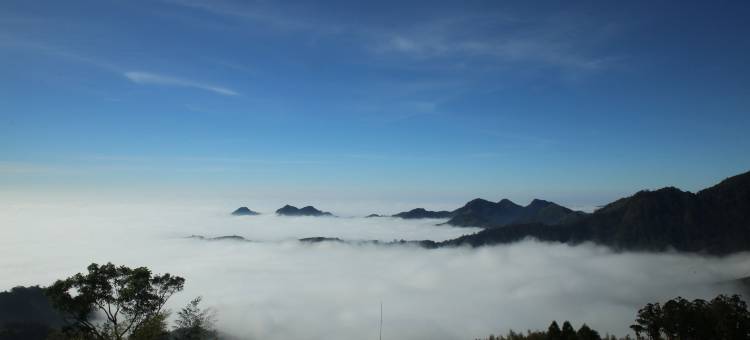 阿里山渊明居山庄图片