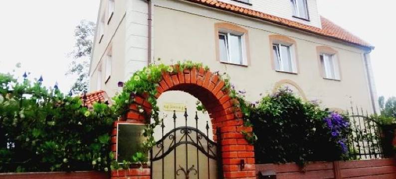 Guest House Delta图片