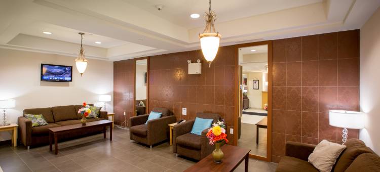 斯特拉顿-新格拉斯哥智选假日酒店(Holiday Inn Express STELLARTON-NEW GLASGOW by IHG)图片