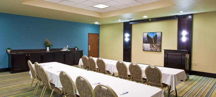 智选假日套房酒店韦克罗斯 by IHG(Holiday Inn Express & Suites Waycross)图片