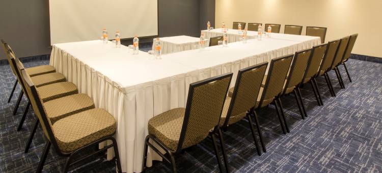 Holiday Inn 普埃布拉拉诺里亚(Holiday Inn Puebla la Noria)图片