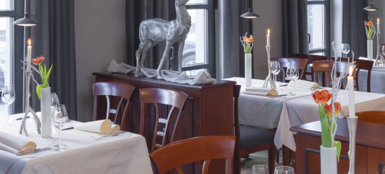 托绅克酒店(Hotel Domschenke)图片