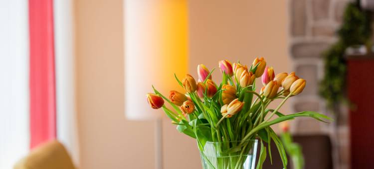 蒙塔纳埃尔克顿酒店(Montana-Hotel Ellwangen)图片