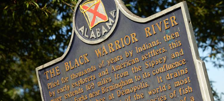 塔斯卡卢萨市区英迪格酒店-(Hotel Indigo Tuscaloosa Downtown)图片