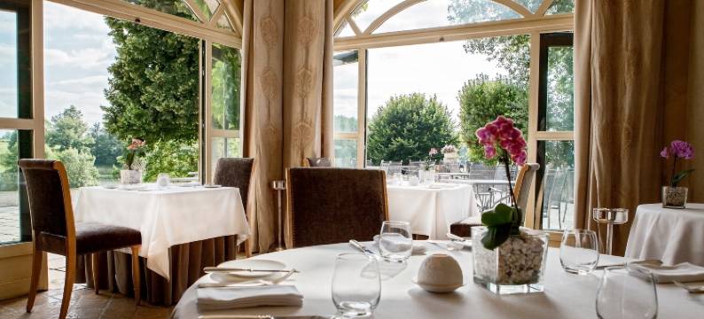 威格斯城堡酒店(Château des Vigiers)图片