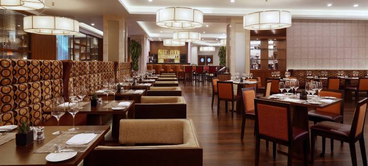 "阿尔巴特之星“酒店公寓(Arbat Stars Hotel and Apartments (ex Marriott Novy Arbat))图片