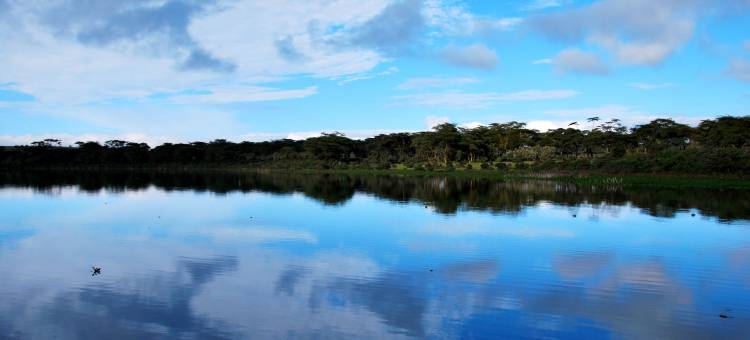 纳瓦沙湖乡村俱乐部旅馆(Muthu Lake Naivasha Country Club, Naivasha)图片