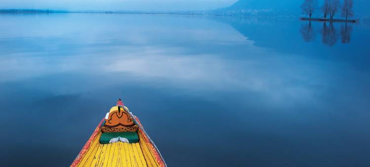 泰姬达尔景观酒店斯里纳格(Taj Dal View Srinagar)图片