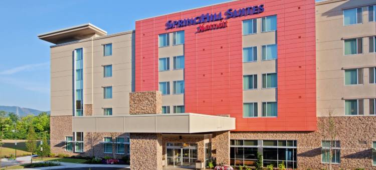 查塔努加市中心/卡梅隆港万豪SpringHill酒店(SpringHill Suites Chattanooga Downtown/Cameron Harbor)图片