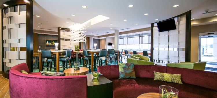 兰伯顿SpringHill Suites 酒店(SpringHill Suites Lumberton)图片