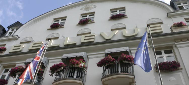 贝尔维尤莱恩酒店(Bellevue Rheinhotel)图片