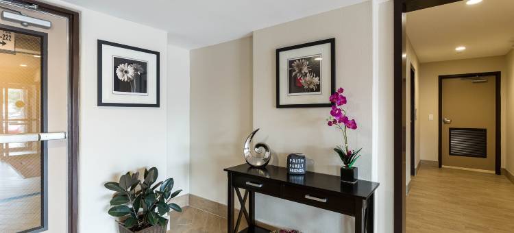 NRG公园医疗中心美洲最佳价值酒店(Americas Best Value Inn Near NRG Park/Medical Center)图片