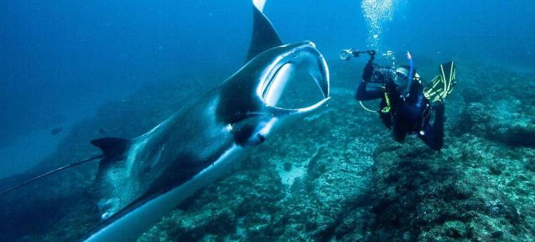 Manta Lodge & Scuba Centre图片