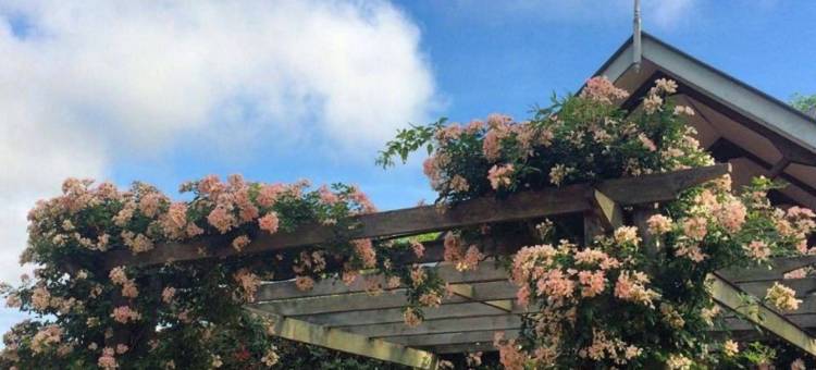 香巴拉庄园(Shambala Estate Cottages)图片