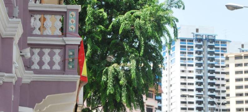 新加坡优良酒店 - 尼斯(Value Hotel Nice)图片