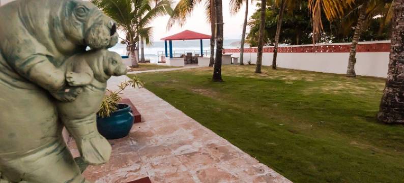 阿雷西博681海洋驱动器的大西洋窗口(Ventana Al Atlantico at Arecibo 681 Ocean Drive)图片