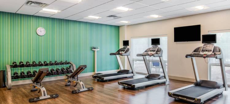 智选假日套房酒店-坦帕北/韦斯利查普尔(Holiday Inn Express & Suites Tampa North - Wesley Chapel)图片