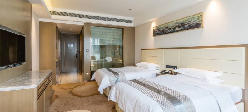 德兴铜都国际酒店(市政府宝龙广场店)图片