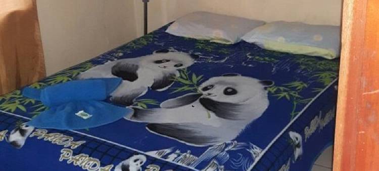 丹塔河旅舍(Rio Danta Hostel)图片