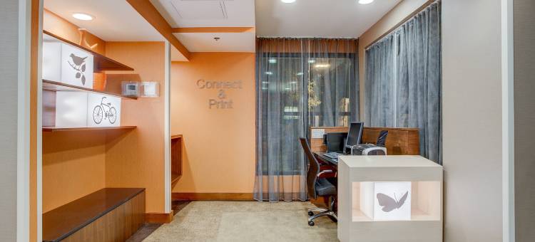 伯灵顿威利斯顿万枫酒店(Fairfield Inn Burlington Williston)图片