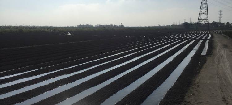 彰化11家·民宿图片