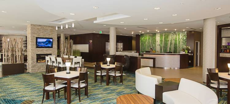 布卢明顿万豪SpringHill Suites 酒店(SpringHill Suites Bloomington)图片