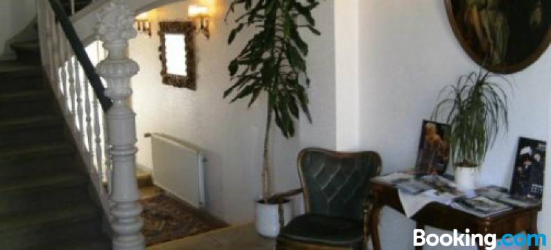 莱塞维茨伽藤(Leisewitz' Garten)图片