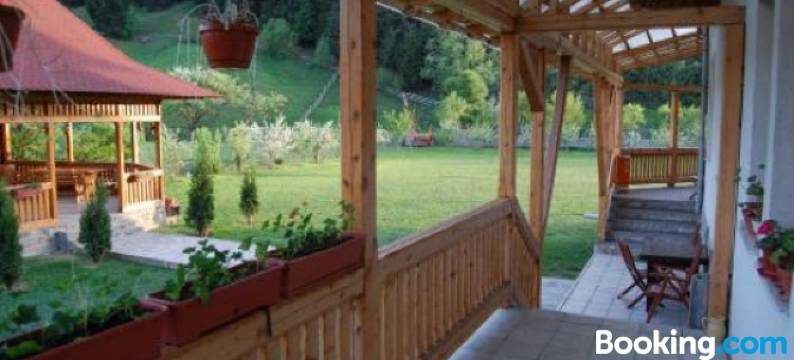 卡萨埃尔维拉旅馆(Pensiunea Casa Elvira)图片