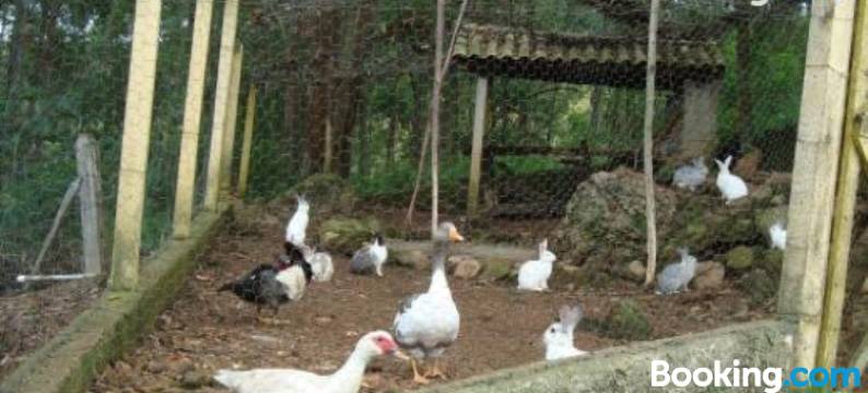 Si­Tio Vila Davero图片