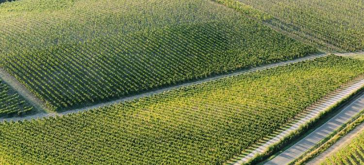 斯奎洛马撒里精选酒店(Le Scuole B&B - by ColleMassari Hospitality)图片