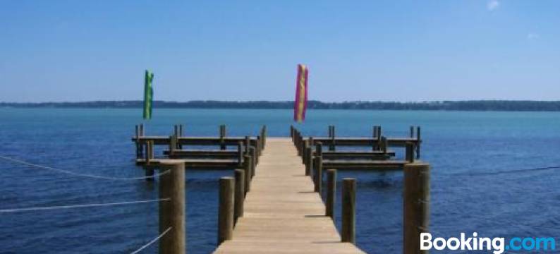 维尼菲拉旅馆(Vinifera Inn)图片