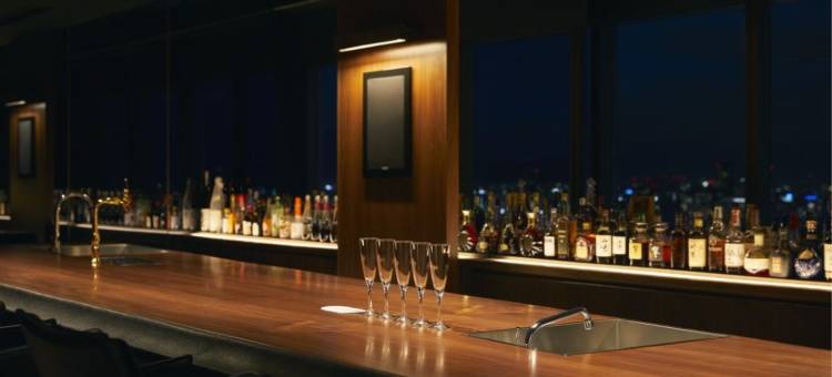 ART 大阪湾酒店(Art Hotel Osaka Bay Tower)图片