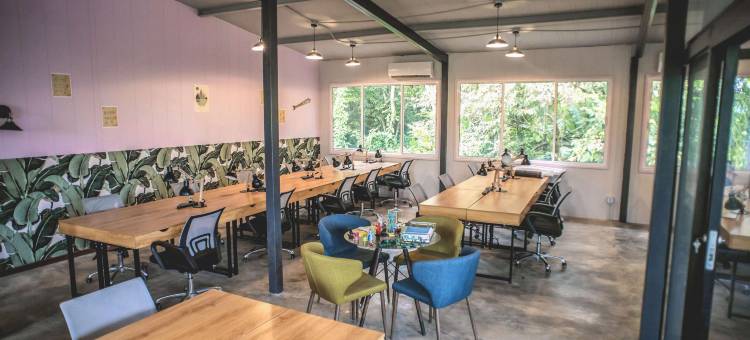 Socialtel 博卡斯德尔托罗(Socialtel Bocas del Toro - Formerly Selina Bocas del Toro)图片