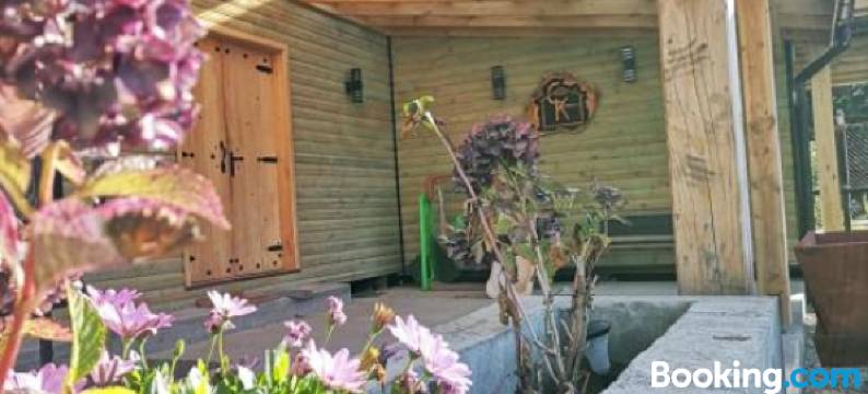 卡帕奇公寓(Cabañas Kompatzki)图片