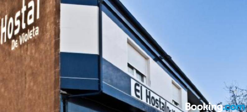 维奥莱塔旅馆(El Hostal de Violeta)图片