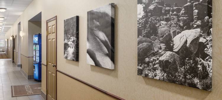 达科他丘丽怡酒店(Country Inn & Suites by Radisson, Dakota Dunes, SD)图片