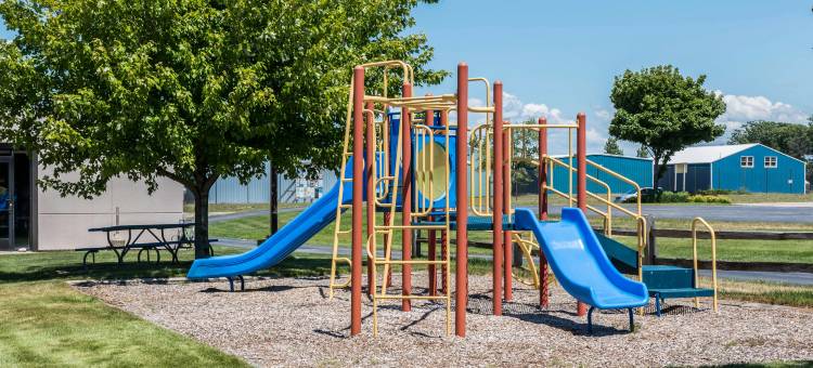 拉丁顿智选假日酒店(Comfort Inn Ludington Near US-10)图片