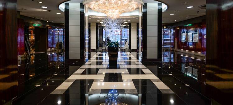 东京立川艾米西亚酒店(Hotel Emisia Tokyo Tachikawa)图片