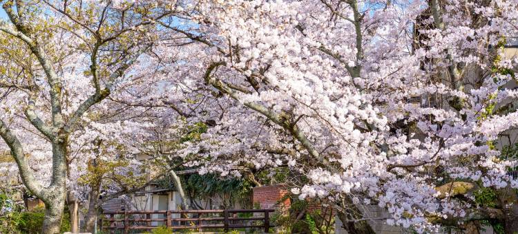 相铁FRESA INN 京都站八条口(Sotetsu Fresa Inn Kyoto-Hachijoguchi)图片