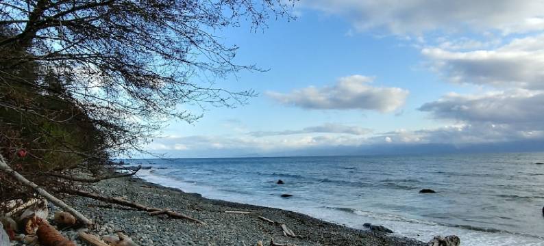 海洋荒野旅馆(Ocean Wilderness Inn)图片